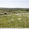 pap machaon biotope1 kher